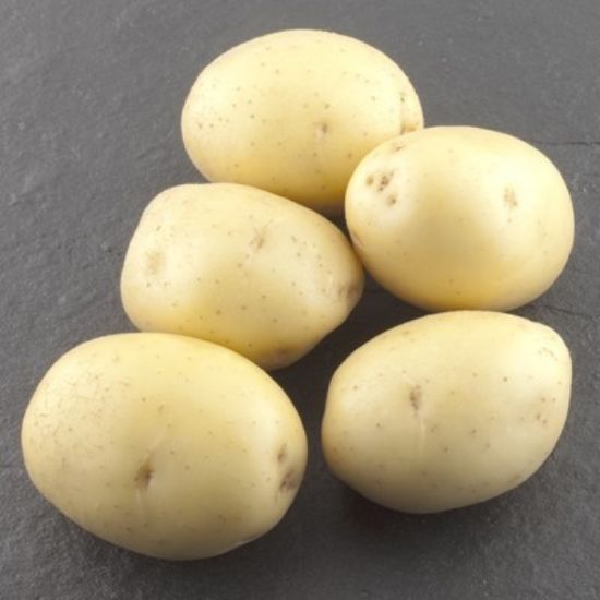Picture of Colomba seed potatoes, A 28/35, 25kg