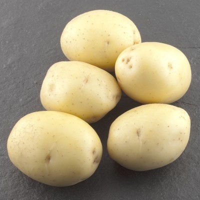 Picture of Colomba seed potatoes, A 28/35, 10kg