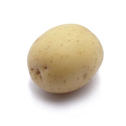 Bild von Pflanzkartoffeln Bergerac, A 28/35, 2.5kg