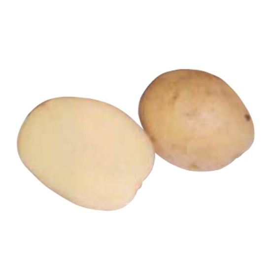 Slika Minerva krompir semenski A 35/55 25kg