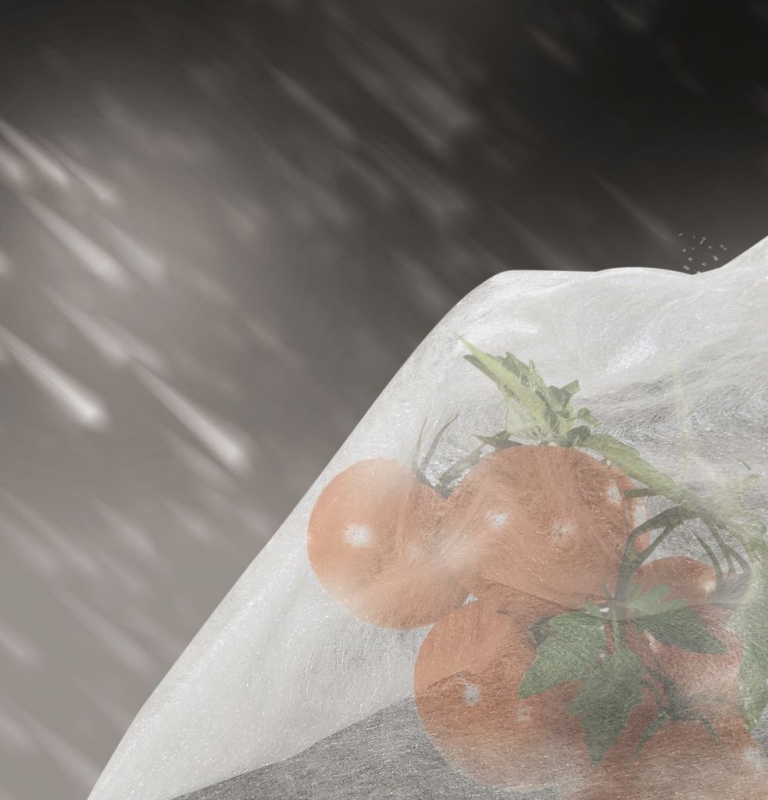 Picture of Tomato cover, 0.6 x 10m - 17g