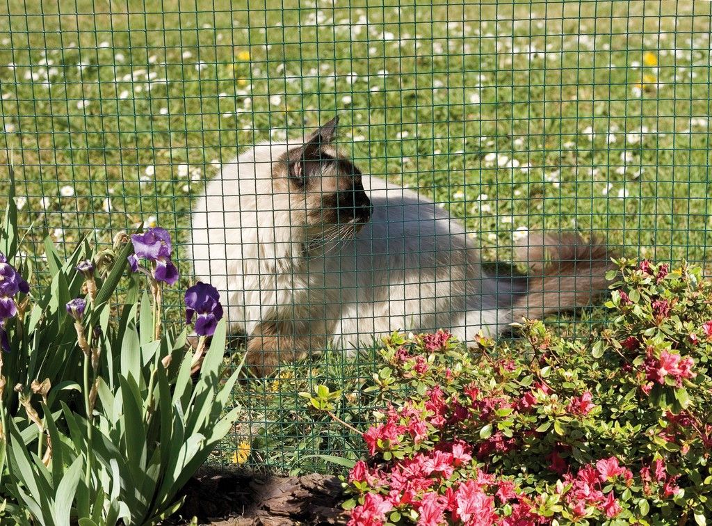 Bild von Netz für Kaninchenkäfig 1 x 5m