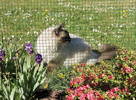 Bild von Netz für Kaninchenkäfig 1 x 5m