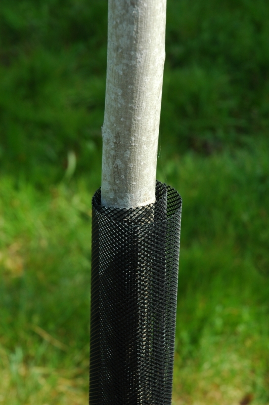 Picture of Tree protection mesh, 8/1, O6cm/h 110, BLACK