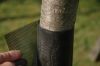 Bild von Baumschutznetz 8/1, O6cm/h 110, SCHWARZ