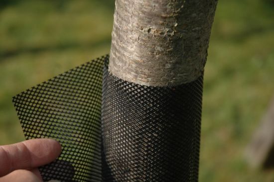 Picture of Tree protection mesh, 8/1, O6cm/h 110, BLACK