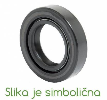 Slika Semering 25-46-7 motorne gredi BCS