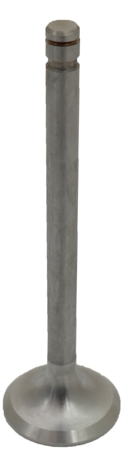 Bild von Abgas-Ventil, Torpedo B700 Penta