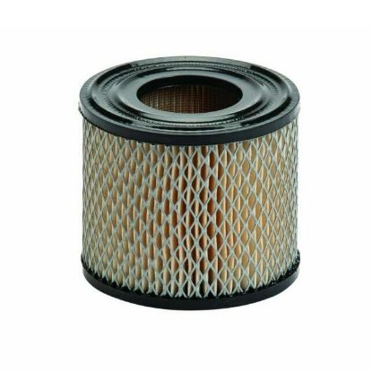 Picture of Filter zraka Briggs - 393957