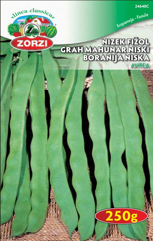 Bild von Buschbohne Antea, 250g