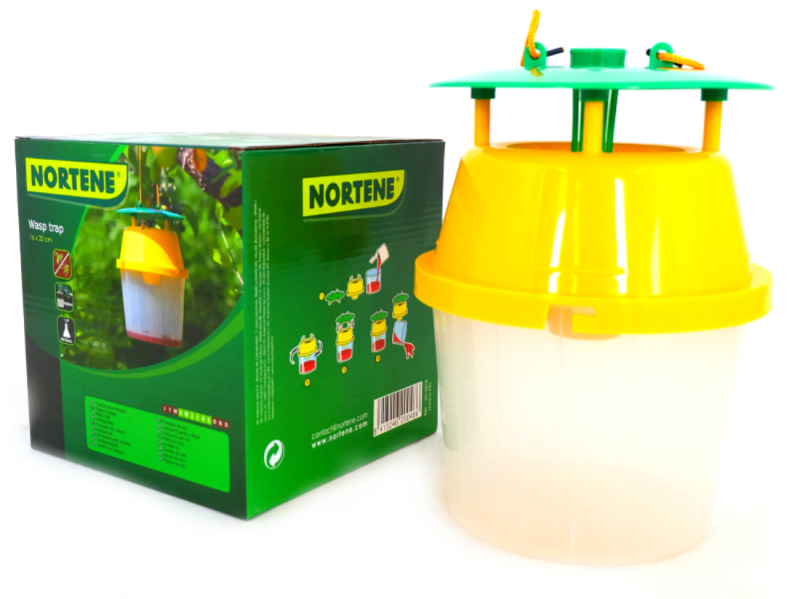 Bild von Insektenfalle