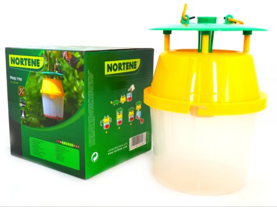 Bild von Insektenfalle