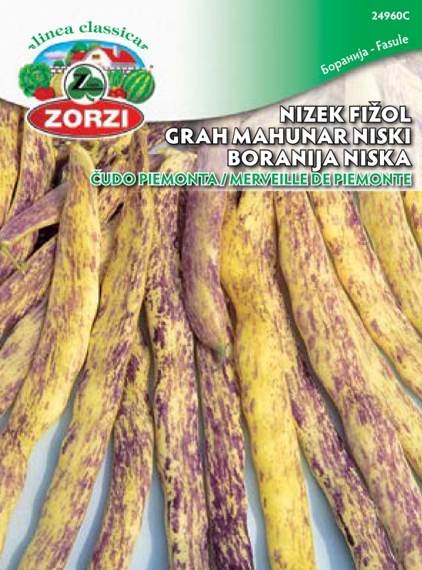 Picture of Bush bean Marvel of Piedmont, packet