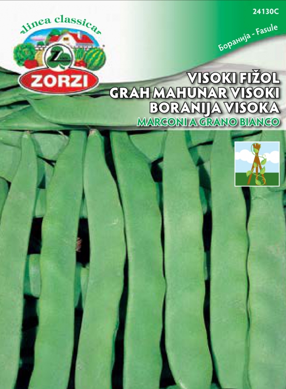 Bild von Stangenbohne Marconi A Grano Bianco, 250g