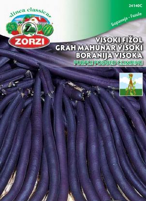 Slika Fižol visok Purple Podded Climbing 250g