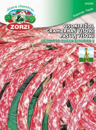 Slika Fižol visok Borlotto Lingua Di Fuoco 3 250g