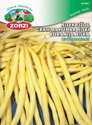 Slika Fižol nizek Rocquencourt 250g