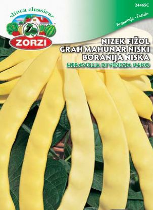 Slika Fižol nizek Supernano Giallo 250G 1430