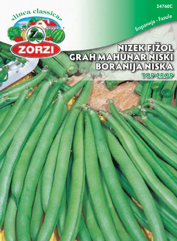 Bild von Buschbohne Topcrop, 250g