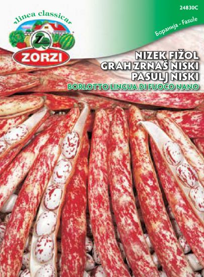 Bild von Fižol nizek Borlotto Lingua di Fuoco 250g