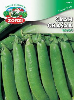 Bild von Grah Rondo (USA) 250g