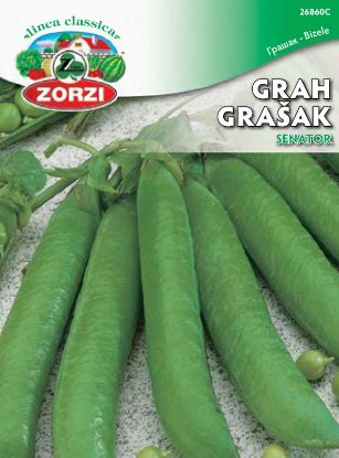 Bild von Grah Senator 250g