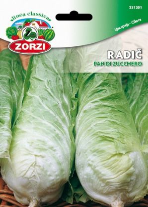 Slika Radič Pan Di Zucchero 50g