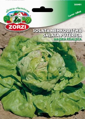 Bild von Solata Majska Kraljica 50g