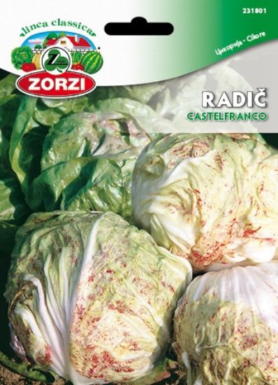 Picture of Chicory Castelfranco, 50g