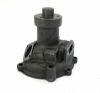 Bild von Wasserpumpe Fiat, Štore, UTB