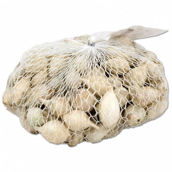 Picture of Čebulček semenski Majski srebrnjak 14-21 500g