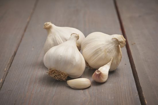 Slika Česen ozimni beli Messidrome 500g 50-60 mm