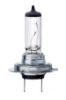 Picture of Light bulb, H7, 12V, 55W, Elvelux, 3242