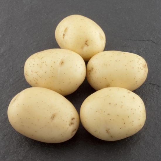 Slika Evora krompir semenski E 28/35 25kg