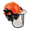 Picture of Forestry helmet