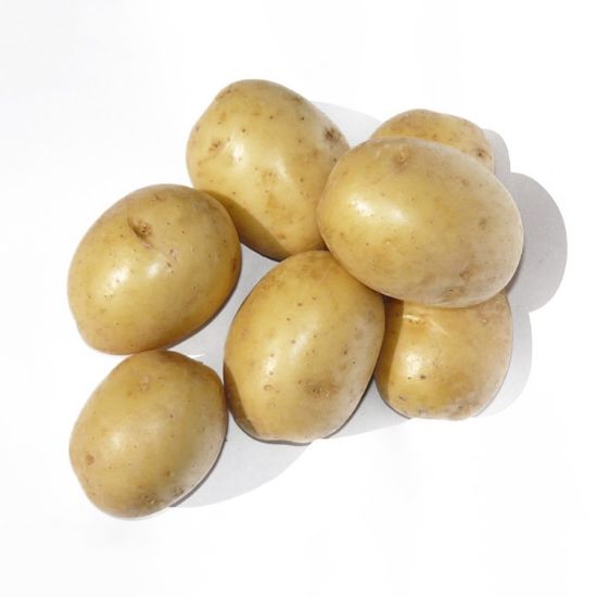 Slika Gala krompir semenski A 35/55 25kg