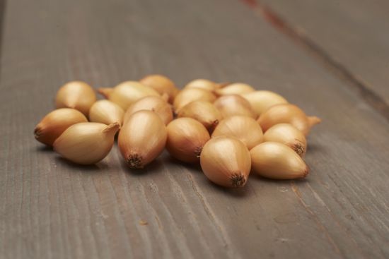 Slika Čebulček semenski Sturon 21-24 500g