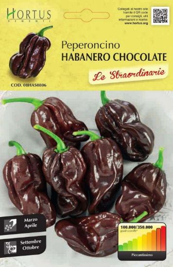 Slika Čili Habanero Chocolate