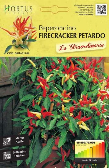 Slika Čili Firecracker Petardo