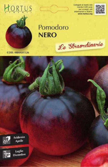 Slika Paradižnik Nero
