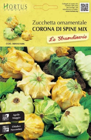 Slika Bučke Corona di Spine mešanica