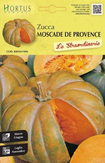 Slika Bučka Muscade de Provence