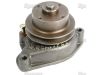 Bild von Wasserpumpe Massey Ferguson 4, 107, 130, 3639506M1