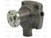 Picture of Water pump, Case, Fendt, F281200610010