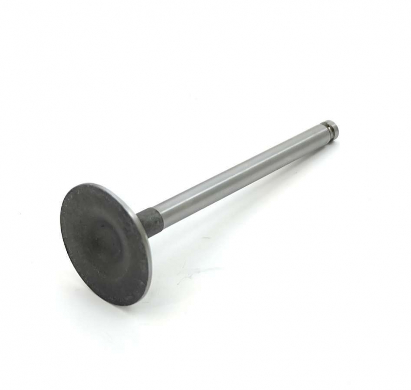 Picture of Inlet valve, M-33, M-34