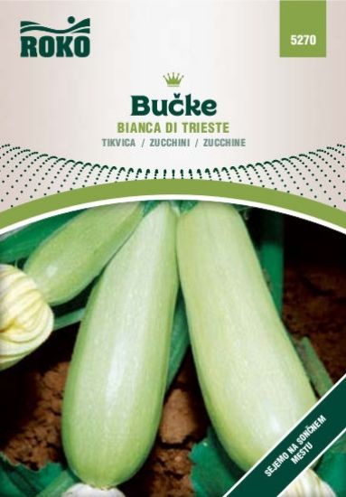 Bučka Bianca di Trieste - Semenska vrečka ROKO | Roko - Spletni agrocenter