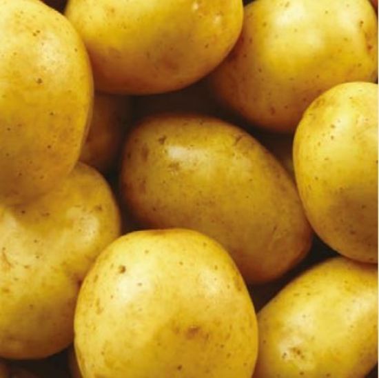 Slika Soraya krompir semenski A35/50 25kg