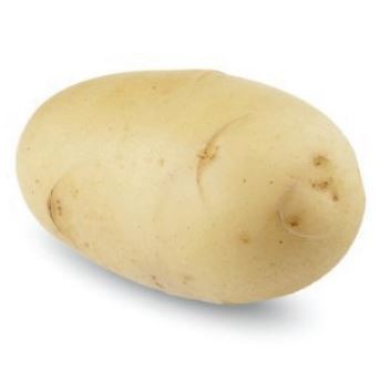 Slika Semenski krompir Gioconda A35/55 25kg