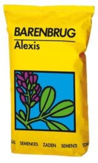 Slika Lucerna Alexis Yellow Jacket 25kg - obloženo seme