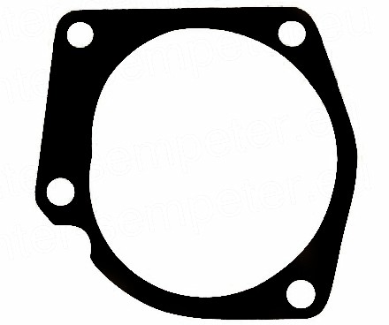Picture of Water pump gasket, IMT 539, 700320